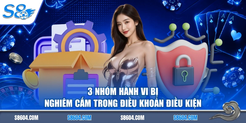 3 nhóm hành vi bị nghiêm cấm trong điều khoản điều kiện